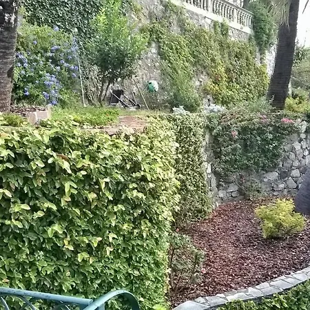 Maru Levanto