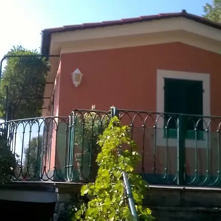 Maru Levanto